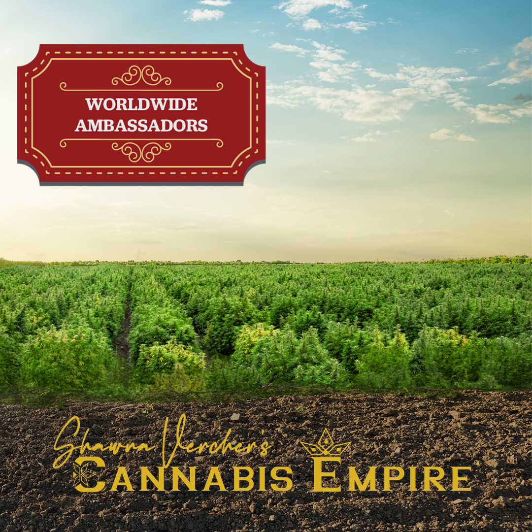 Ambassador Marketing Packages - Cannabis Empire
